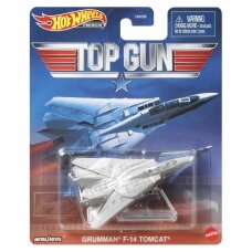 Hot Wheels Premium Grumman F-14 Tomcat