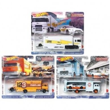 Hot Wheels Premium Modeliukas Team Transport assortment  (979V)